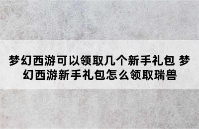 梦幻西游可以领取几个新手礼包 梦幻西游新手礼包怎么领取瑞兽